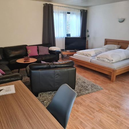Apartment Zum Wohlfuehlen In Ruhiger Lage Pfungstadt Εξωτερικό φωτογραφία