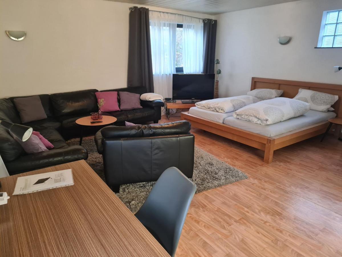 Apartment Zum Wohlfuehlen In Ruhiger Lage Pfungstadt Εξωτερικό φωτογραφία